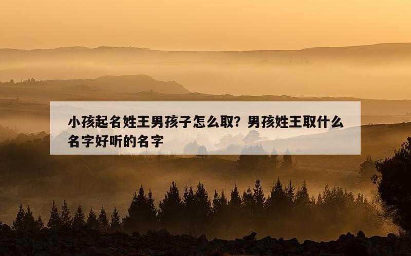 小孩起名姓王男孩子怎么取？男孩姓王取什么名字好听的名字