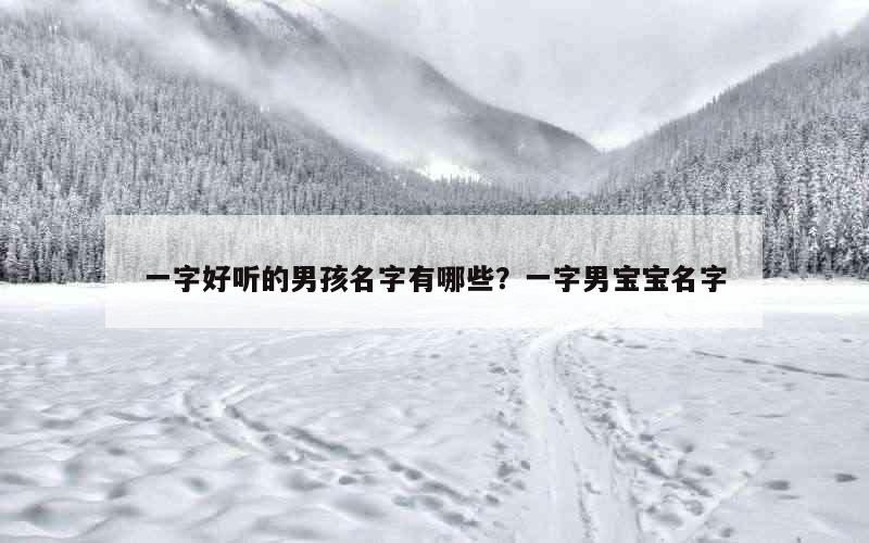 一字好听的男孩名字有哪些？一字男宝宝名字