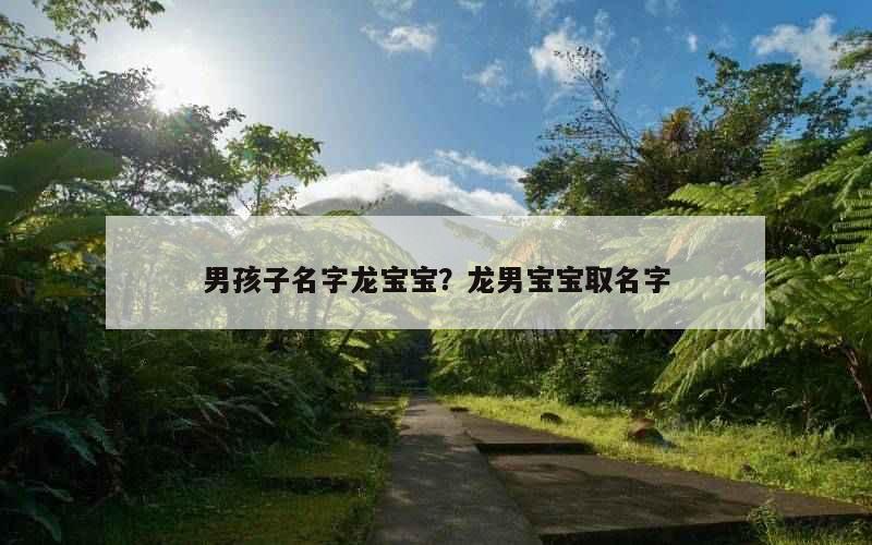 男孩子名字龙宝宝？龙男宝宝取名字
