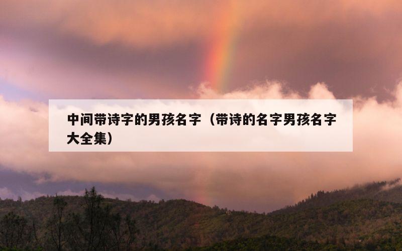 中间带诗字的男孩名字（带诗的名字男孩名字大全集）