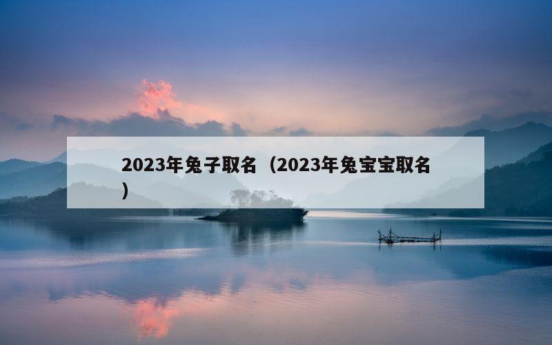 2023年兔子取名（2023年兔宝宝取名）
