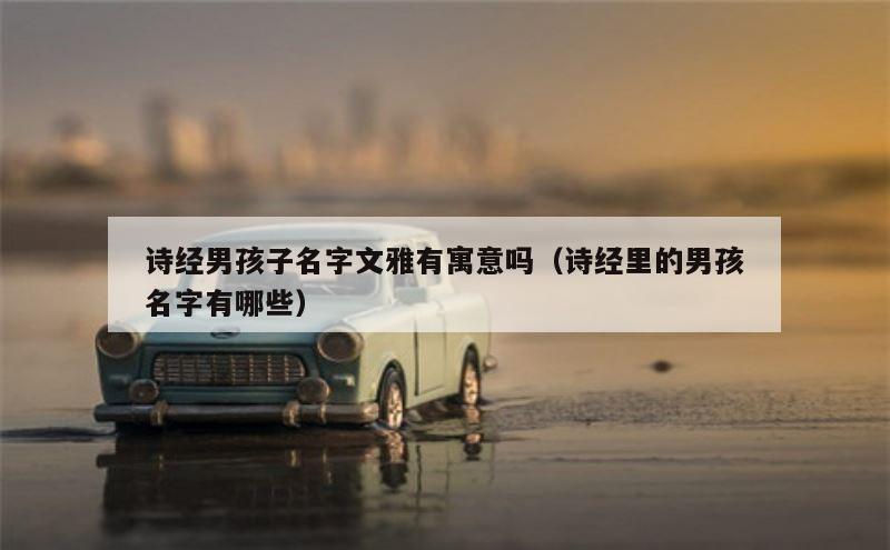 诗经男孩子名字文雅有寓意吗（诗经里的男孩名字有哪些）