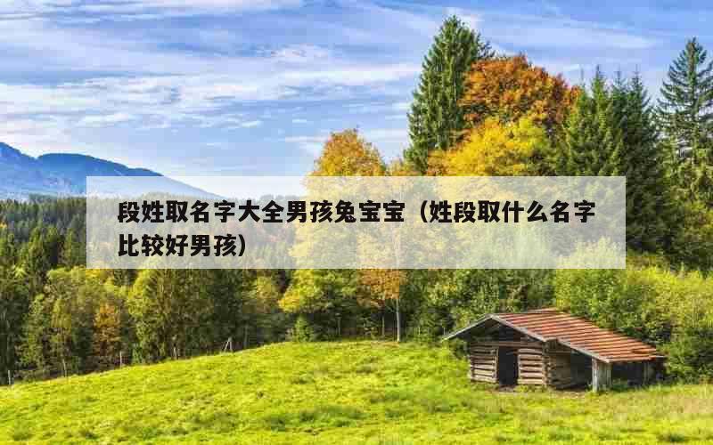 段姓取名字大全男孩兔宝宝（姓段取什么名字比较好男孩）