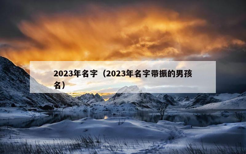 2023年名字（2023年名字带振的男孩名）
