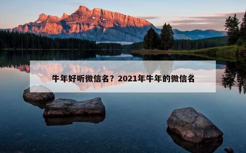 牛年好听微信名？2021年牛年的微信名