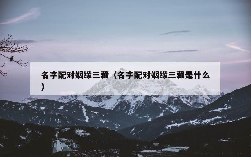 名字配对姻缘三藏（名字配对姻缘三藏是什么）