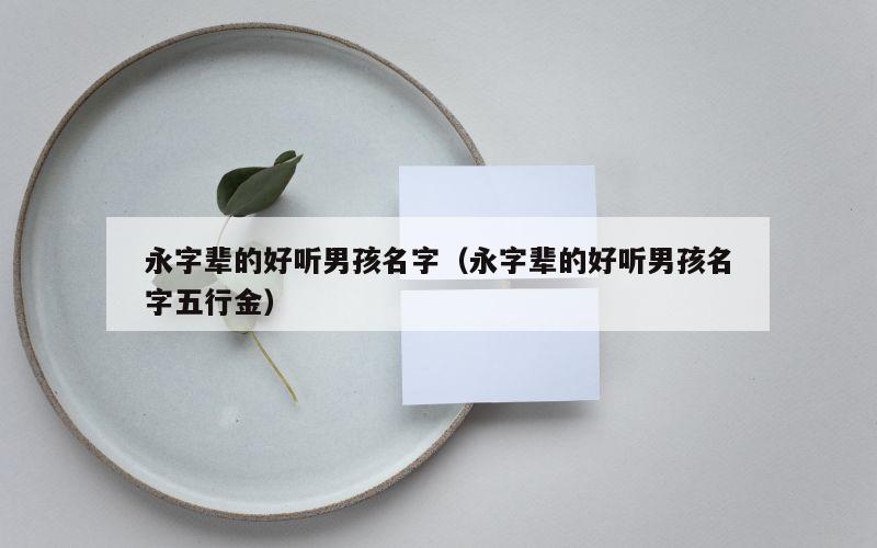 永字辈的好听男孩名字（永字辈的好听男孩名字五行金）