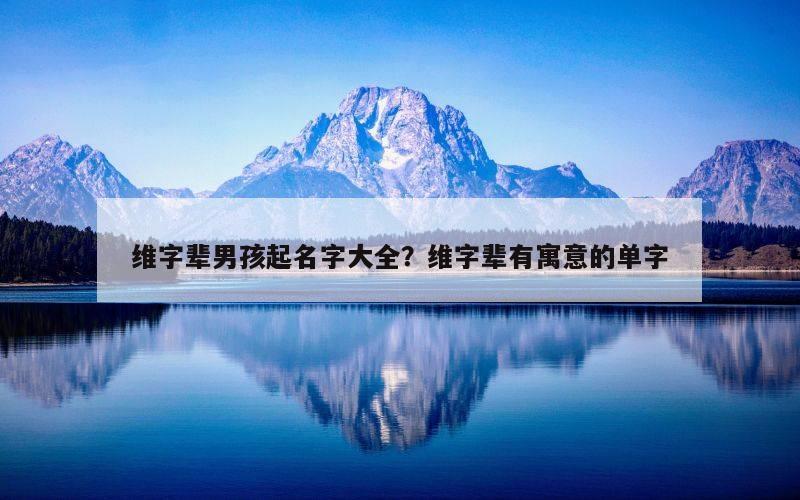 维字辈男孩起名字大全？维字辈有寓意的单字