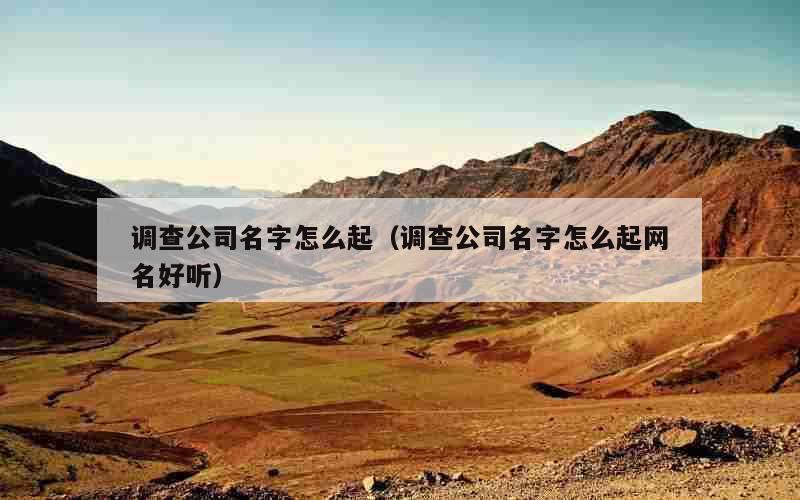 调查公司名字怎么起（调查公司名字怎么起网名好听）