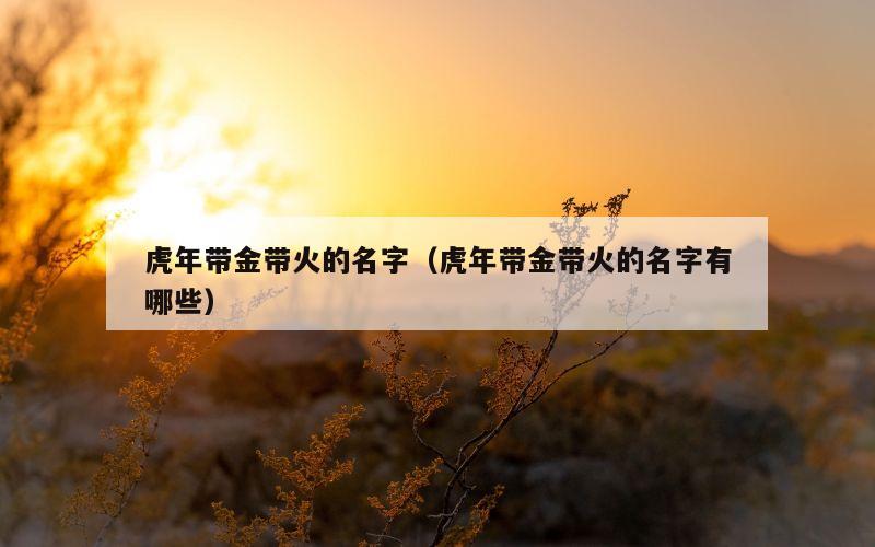 虎年带金带火的名字（虎年带金带火的名字有哪些）