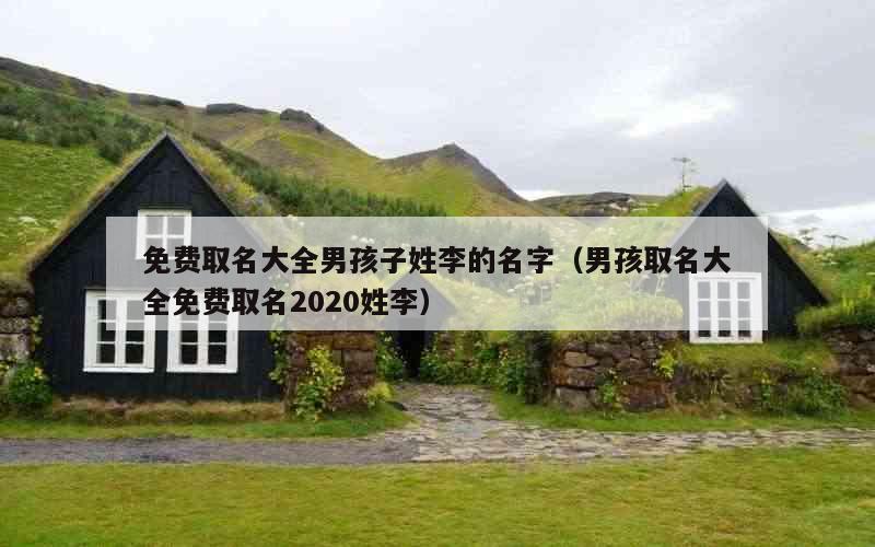 免费取名大全男孩子姓李的名字（男孩取名大全免费取名2020姓李）