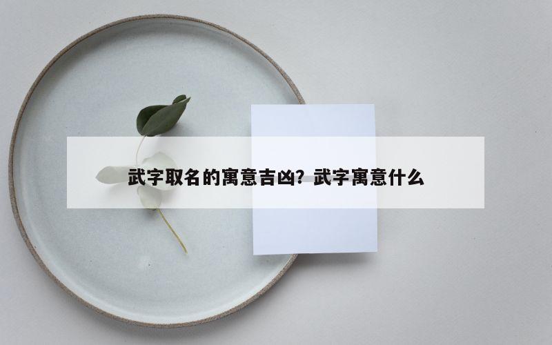 武字取名的寓意吉凶？武字寓意什么