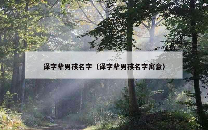 泽字辈男孩名字（泽字辈男孩名字寓意）