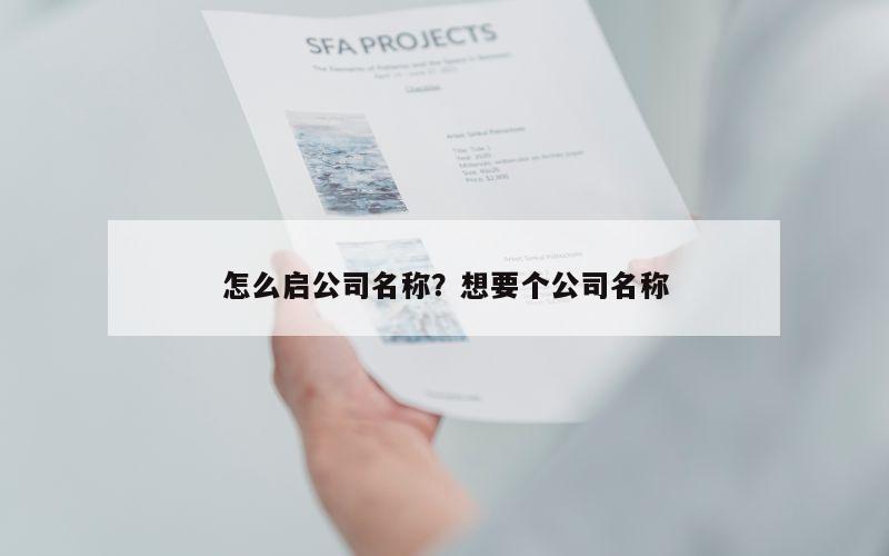 怎么启公司名称？想要个公司名称