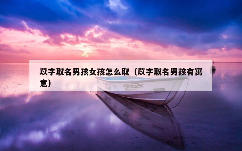 苡字取名男孩女孩怎么取（苡字取名男孩有寓意）