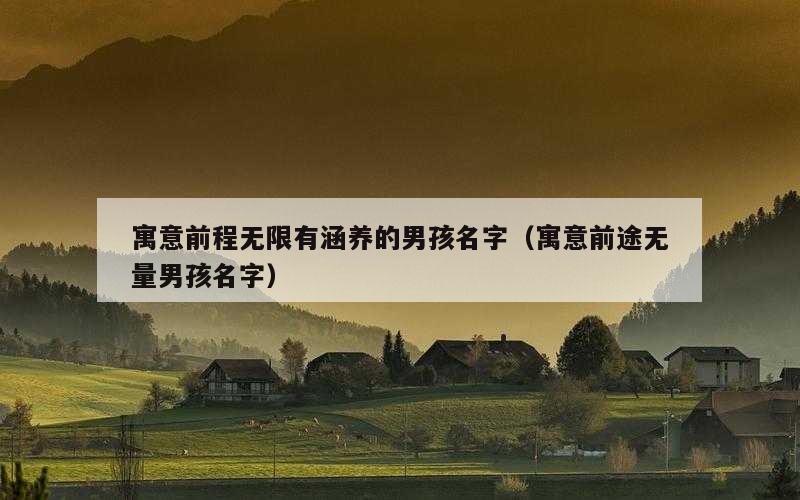 寓意前程无限有涵养的男孩名字（寓意前途无量男孩名字）