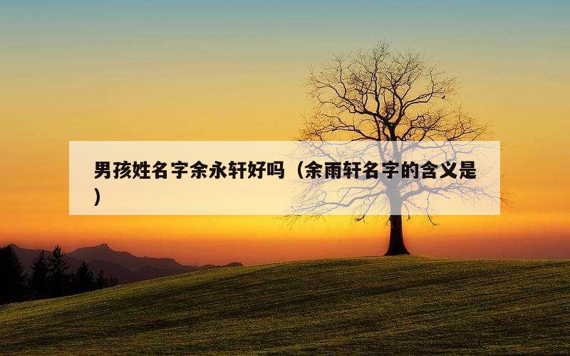 男孩姓名字余永轩好吗（余雨轩名字的含义是）
