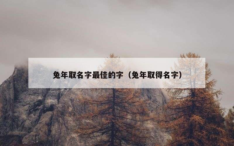 兔年取名字最佳的字（兔年取得名字）