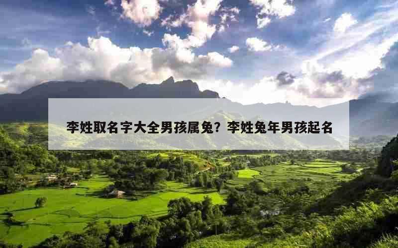 李姓取名字大全男孩属兔？李姓兔年男孩起名