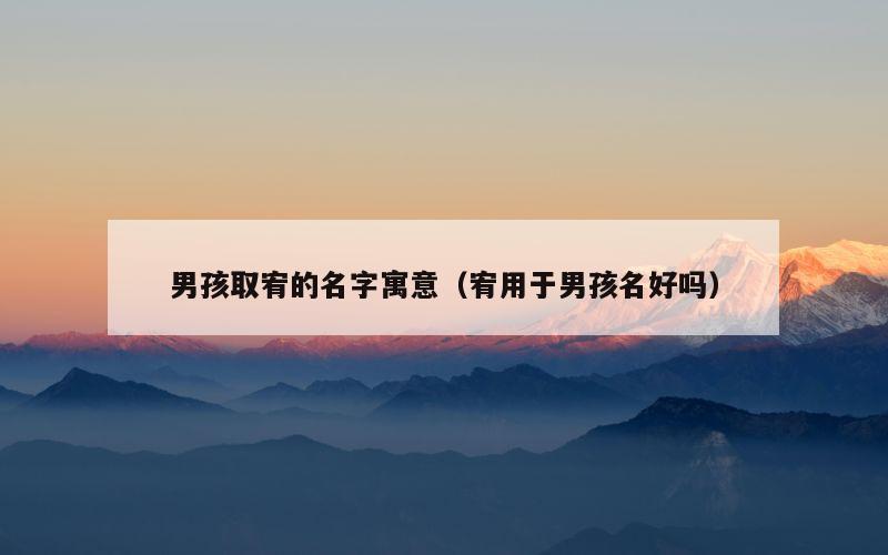男孩取宥的名字寓意（宥用于男孩名好吗）