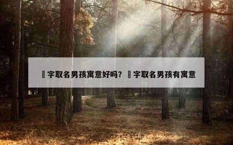 芃字取名男孩寓意好吗？溓字取名男孩有寓意