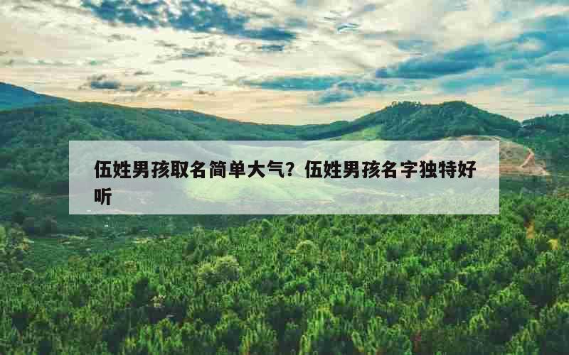 伍姓男孩取名简单大气？伍姓男孩名字独特好听