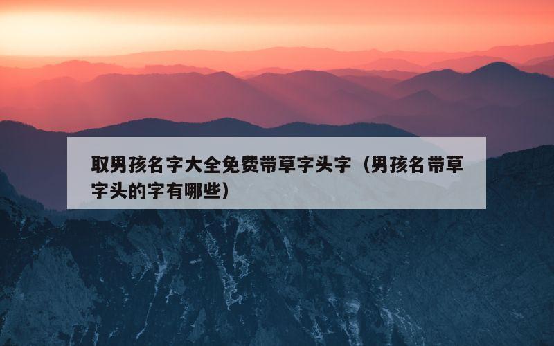 取男孩名字大全免费带草字头字（男孩名带草字头的字有哪些）