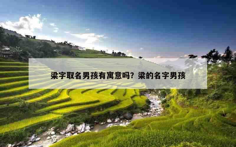 梁字取名男孩有寓意吗？梁的名字男孩