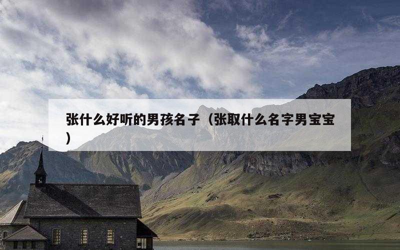 张什么好听的男孩名子（张取什么名字男宝宝）