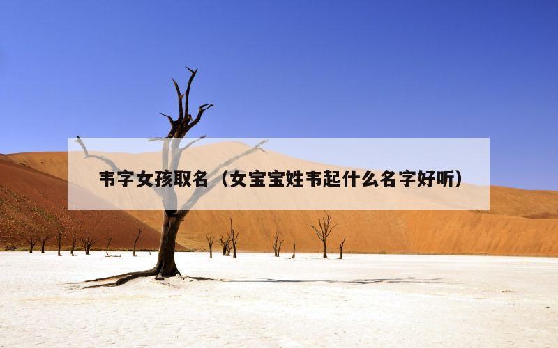 韦字女孩取名（女宝宝姓韦起什么名字好听）