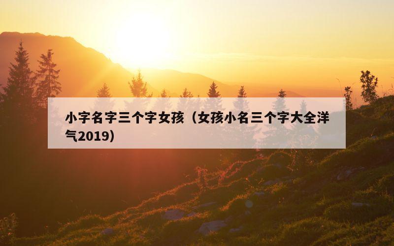 小字名字三个字女孩（女孩小名三个字大全洋气2019）