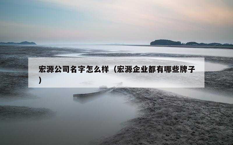 宏源公司名字怎么样（宏源企业都有哪些牌子）