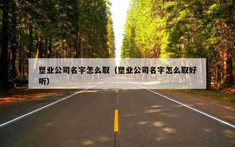 塑业公司名字怎么取（塑业公司名字怎么取好听）