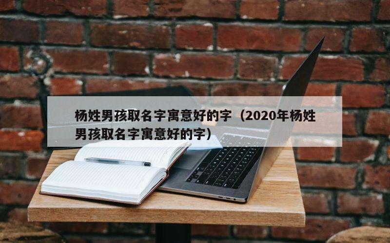 杨姓男孩取名字寓意好的字（2020年杨姓男孩取名字寓意好的字）
