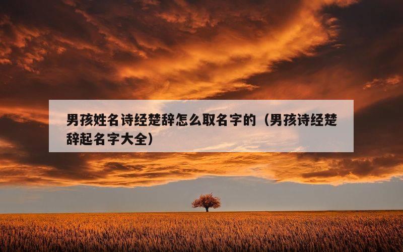 男孩姓名诗经楚辞怎么取名字的（男孩诗经楚辞起名字大全）