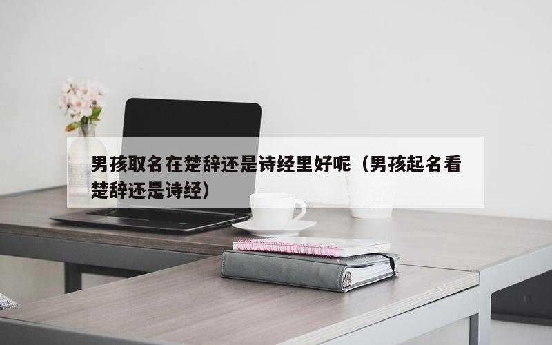 男孩取名在楚辞还是诗经里好呢（男孩起名看楚辞还是诗经）
