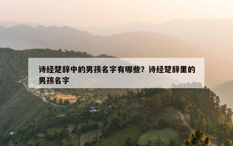 诗经楚辞中的男孩名字有哪些？诗经楚辞里的男孩名字