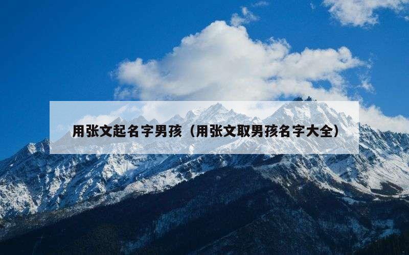 用张文起名字男孩（用张文取男孩名字大全）
