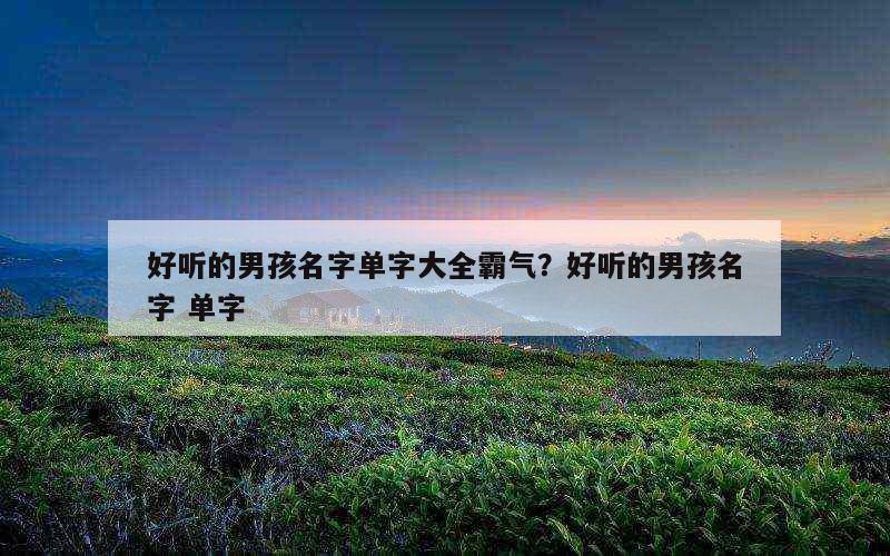 好听的男孩名字单字大全霸气？好听的男孩名字 单字