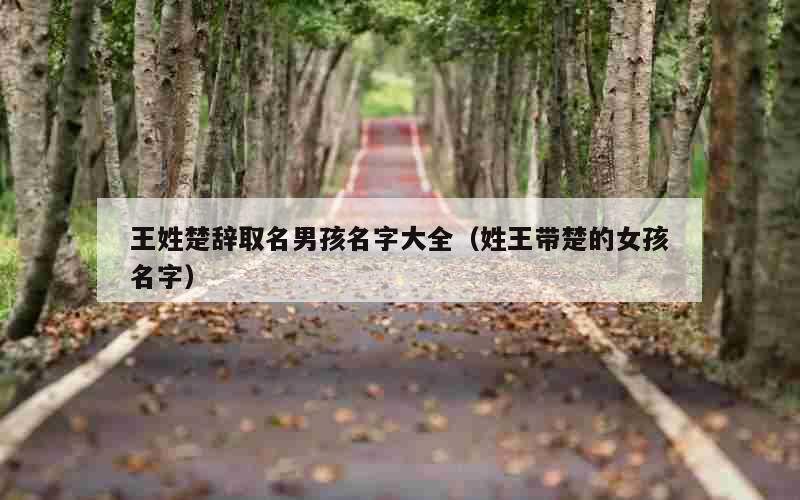 王姓楚辞取名男孩名字大全（姓王带楚的女孩名字）