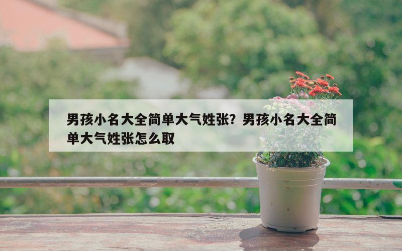 男孩小名大全简单大气姓张？男孩小名大全简单大气姓张怎么取