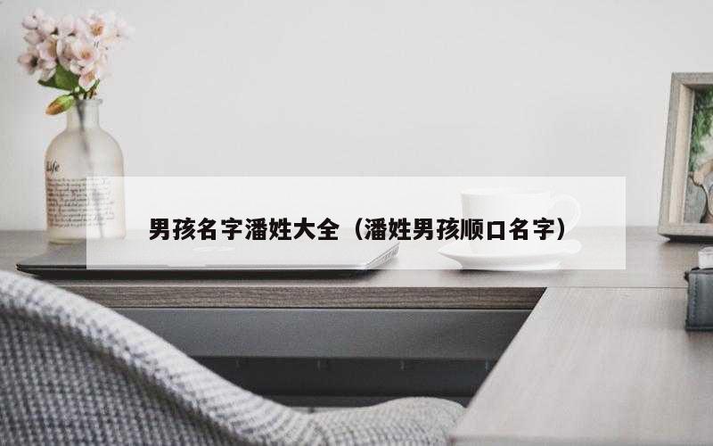 男孩名字潘姓大全（潘姓男孩顺口名字）
