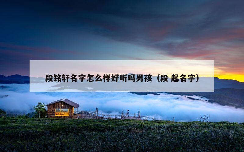 段铭轩名字怎么样好听吗男孩（段 起名字）
