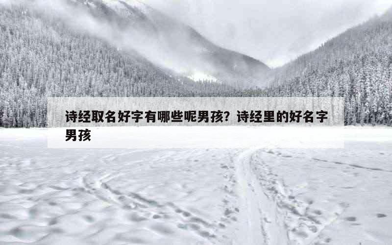 诗经取名好字有哪些呢男孩？诗经里的好名字男孩