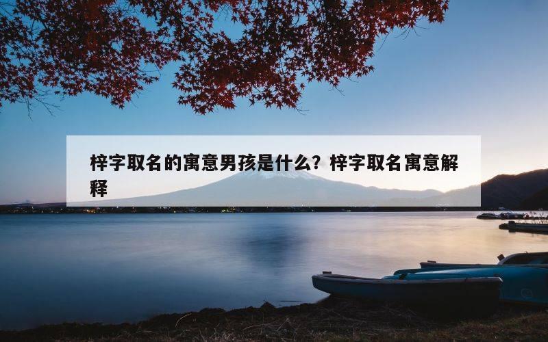 梓字取名的寓意男孩是什么？梓字取名寓意解释