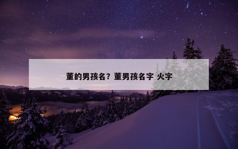 董的男孩名？董男孩名字 火字