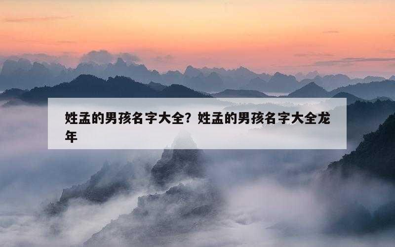 姓孟的男孩名字大全？姓孟的男孩名字大全龙年
