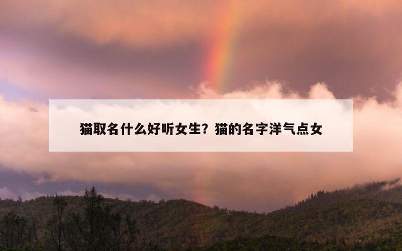 猫取名什么好听女生？猫的名字洋气点女