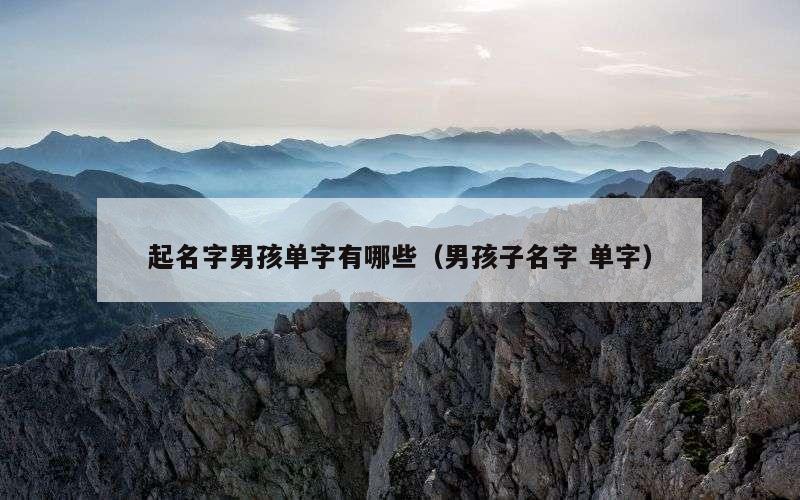 起名字男孩单字有哪些（男孩子名字 单字）