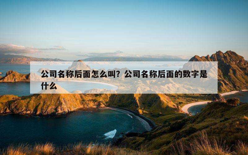 公司名称后面怎么叫？公司名称后面的数字是什么
